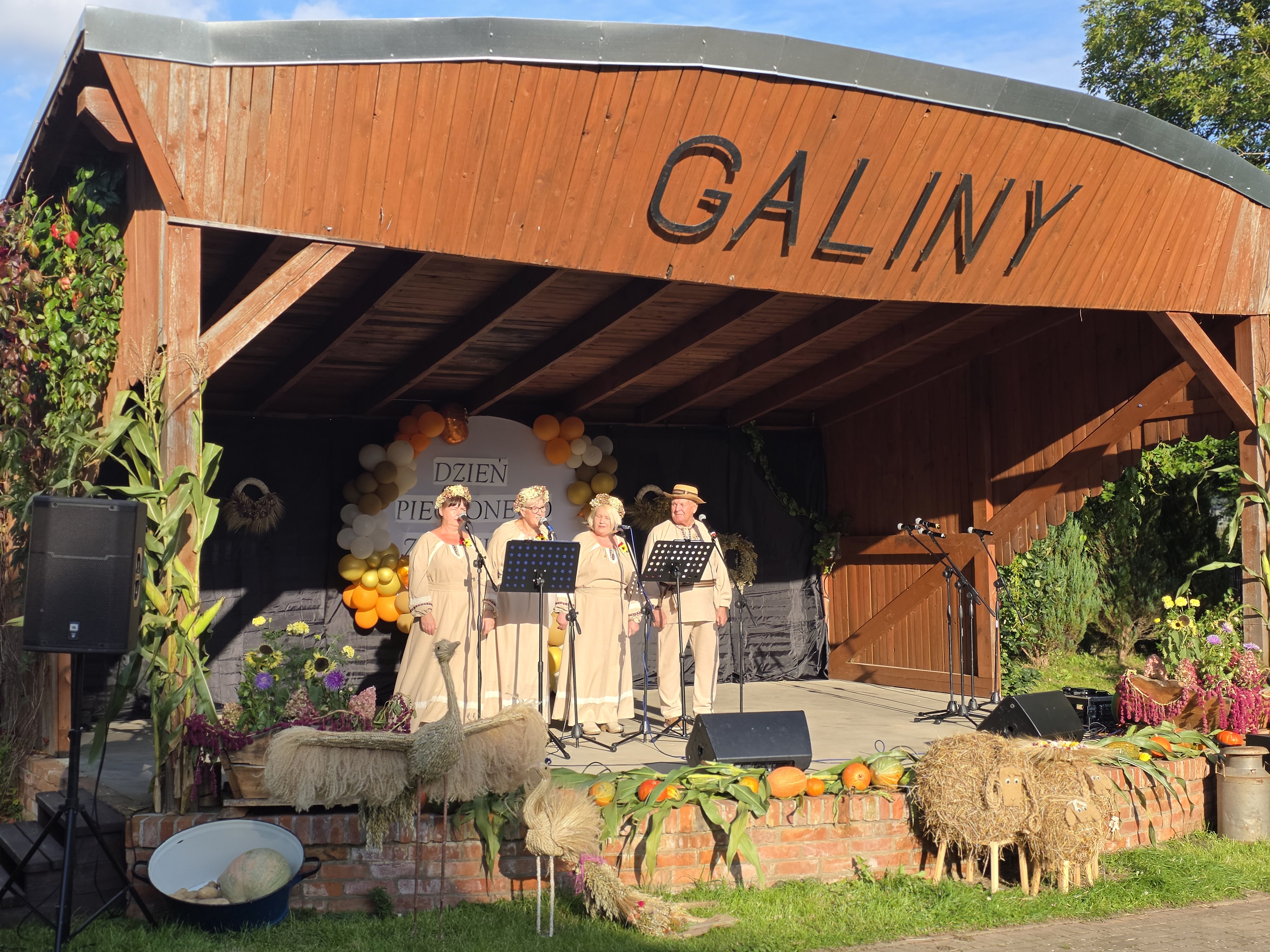 Galiny postawiły na pieczonego ziemniaka