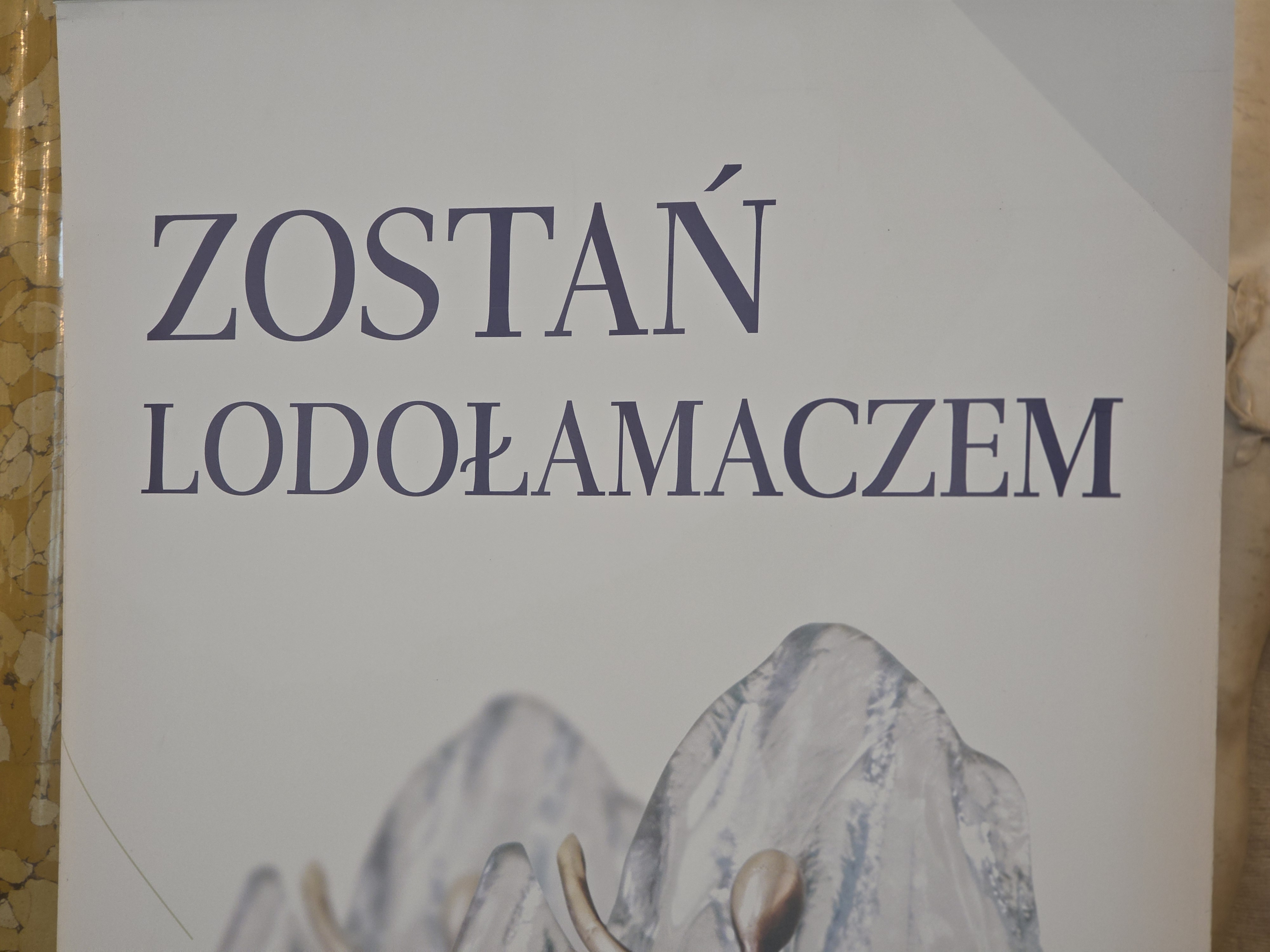 SION został LODOŁAMACZEM